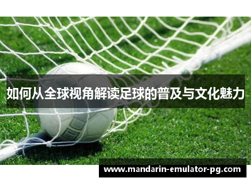 如何从全球视角解读足球的普及与文化魅力