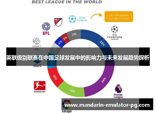 英联级别联赛在中国足球发展中的影响力与未来发展趋势探析
