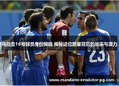 乌拉圭16号球员身份揭晓 揭秘这位新星背后的故事与潜力