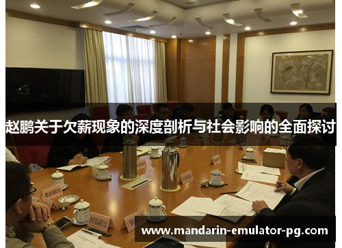 赵鹏关于欠薪现象的深度剖析与社会影响的全面探讨 赵鹏关于欠薪现象的深度剖析与社会影响的全面探讨